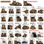 ChatGPTで作った最初のスタンプ案。兄妹猫の紹介と、サロン用・家族用の言葉入りの絵が一枚に並んだ切り出し前の画像