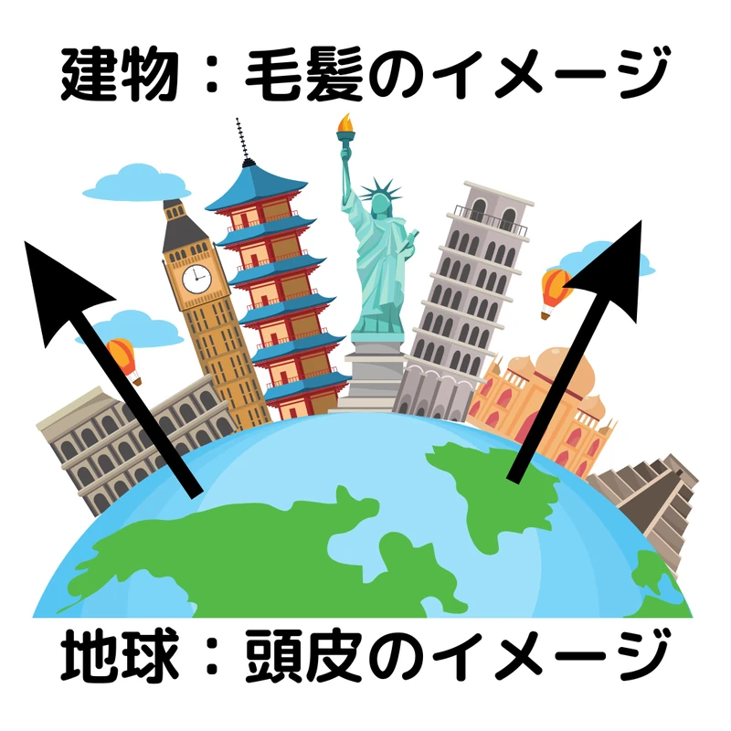 頭皮を地球、毛髪を建物にたとえたイメージ図